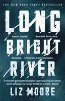 Dlhá svetlá rieka - intenzívny rodinný triler - Long Bright River - an intense family thriller