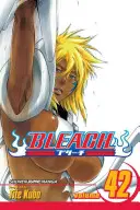 Bleach, zv. 42, 42 - Bleach, Vol. 42, 42