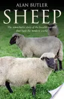Ovce - Sheep