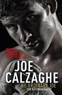 Nie obyčajný Joe - No Ordinary Joe