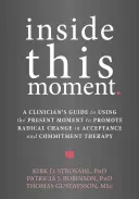 Vnútri tejto chvíle: V tomto okamihu: Príručka klinického lekára na podporu radikálnej zmeny pomocou terapie prijatím a záväzkami - Inside This Moment: A Clinician's Guide to Promoting Radical Change Using Acceptance and Commitment Therapy