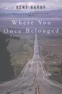 Kam si kedysi patril - Where You Once Belonged