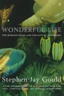 Nádherný život - Wonderful Life