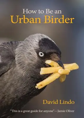 Ako sa stať mestským vtáčikom - How to Be an Urban Birder