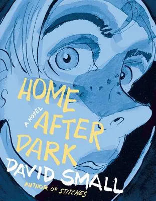 Domov po zotmení - Home After Dark