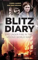 Bleskový denník: Život pod paľbou počas druhej svetovej vojny - Blitz Diary: Life Under Fire in the Second World War
