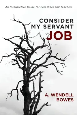 Považujte moju prácu za sluhu: Výkladová príručka pre kazateľov a učiteľov - Consider My Servant Job: An Interpretive Guide for Preachers and Teachers