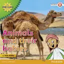 Moja čítanka literatúry faktu 2. úrovne Svet v Perzskom zálive a ja: Zvieratá a ich mláďatá - My Gulf World and Me Level 2 non-fiction reader: Animals and their babies