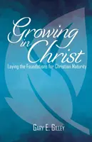 Rastieme v Kristovi: Položenie základov kresťanskej zrelosti - Growing in Christ: Laying the Foundations for Christian Maturity