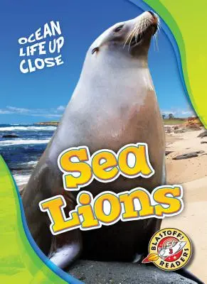 Morské levy - Sea Lions