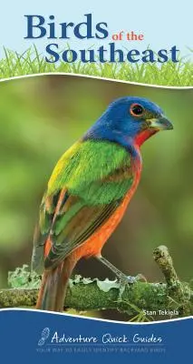 Vtáky juhovýchodu: Vaša cesta k jednoduchému určovaniu vtákov na dvore - Birds of the Southeast: Your Way to Easily Identify Backyard Birds