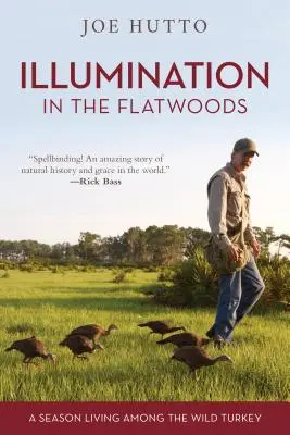 Osvietenie v rovinatom lese: Sezóna života medzi divokými moriakmi - Illumination in the Flatwoods: A Season Living Among the Wild Turkey
