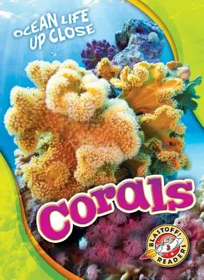 Koraly - Corals