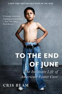 Do konca júna: Intimný život americkej pestúnskej starostlivosti - To the End of June: The Intimate Life of American Foster Care