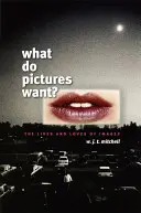 Čo chcú obrázky?: Životy a lásky obrazov - What Do Pictures Want?: The Lives and Loves of Images