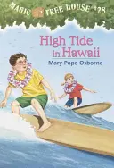 Príliv a odliv na Havaji - High Tide in Hawaii