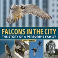 Sokoli v meste: Príbeh rodiny peregrinov - Falcons in the City: The Story of a Peregine Family