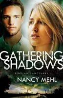 Zhromažďovanie tieňov - Gathering Shadows