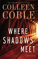 Kde sa stretávajú tiene: Romantický napínavý román - Where Shadows Meet: A Romantic Suspense Novel