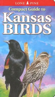 Kompaktný sprievodca po vtákoch Kansasu - Compact Guide to Kansas Birds