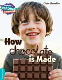 Ako sa vyrába čokoláda Tyrkysové pásmo - How Chocolate Is Made Turquoise Band