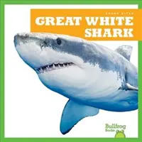 Veľký biely žralok - Great White Shark