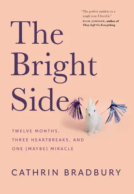 Svetlé stránky: Dvanásť mesiacov, tri zlomené srdcia a jeden (možno) zázrak - The Bright Side: Twelve Months, Three Heartbreaks, and One (Maybe) Miracle