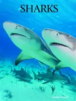 Žraloky - Sharks