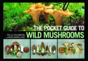 Vreckový sprievodca divokými hubami: užitočné tipy na hubárčenie v teréne - The Pocket Guide to Wild Mushrooms: Helpful Tips for Mushrooming in the Field