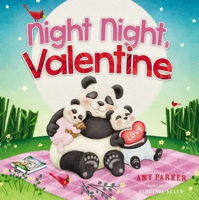 Dobrú noc, Valentín - Night Night, Valentine