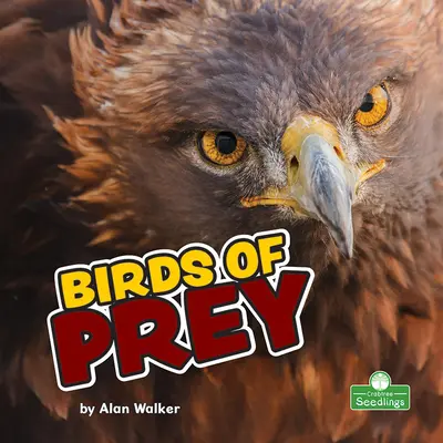 Dravé vtáky - Birds of Prey