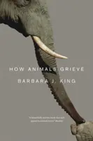 Ako zvieratá smútia - How Animals Grieve
