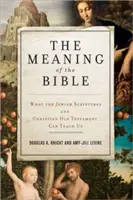 Zmysel Biblie: Čo nás môže naučiť židovské Písmo a kresťanský Starý zákon - The Meaning of the Bible: What the Jewish Scriptures and Christian Old Testament Can Teach Us