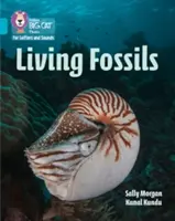 Živé skameneliny - pásmo 07/tyrkysová - Living Fossils - Band 07/Turquoise