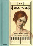 Chorá ruža - alebo choroba a umenie lekárskej ilustrácie - Sick Rose - Or; Disease and the Art of Medical Illustration