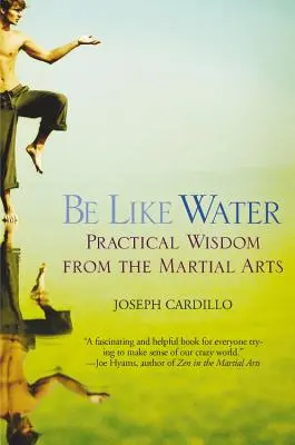 Buď ako voda: Praktická múdrosť z bojových umení - Be Like Water: Practical Wisdom from the Martial Arts