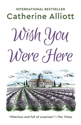 Želanie, aby si tu bol - Wish You Were Here