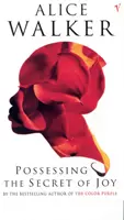 Ovládanie tajomstva radosti - Possessing The Secret Of Joy