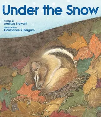 Pod snehom - Under the Snow