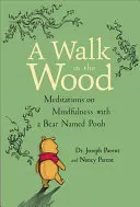 Prechádzka v lese: Meditácie o všímavosti s medveďom Pú - A Walk in the Wood: Meditations on Mindfulness with a Bear Named Pooh