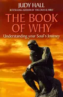 Kniha Prečo - The Book of Why