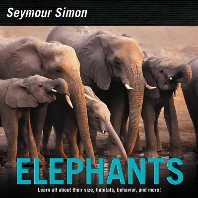 Slony - Elephants