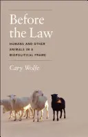 Pred zákonom: Ľudia a iné zvieratá v biopolitickom rámci - Before the Law: Humans and Other Animals in a Biopolitical Frame