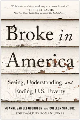 Broke in America: Nahliadnuť, pochopiť a skoncovať s chudobou - Broke in America: Seeing, Understanding, and Ending Us Poverty