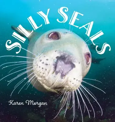 Hlúpe tulene - Silly Seals