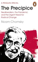 Priepasť - Neoliberalizmus, pandémia a naliehavá potreba radikálnej zmeny - Precipice - Neoliberalism, the Pandemic and the Urgent Need for Radical Change
