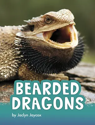 Draky bradaté - Bearded Dragons