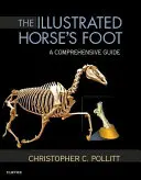 Ilustrovaná konská noha: Komplexná príručka - The Illustrated Horse's Foot: A Comprehensive Guide