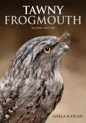 Žabia huba Tawny - Tawny Frogmouth