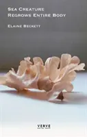 Morskému tvorovi dorastá celé telo - Sea Creature Regrows Entire Body